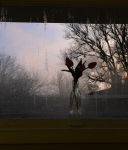 Image de pluie À quoi jouer avec ses enfants quand il pleut ?